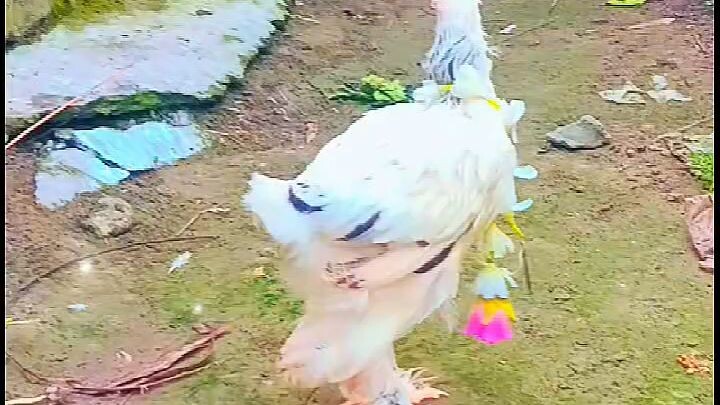 অসাধারণ