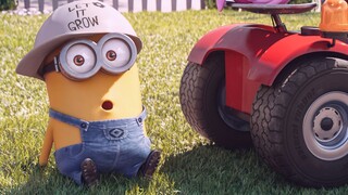 Một tập phim Minions vui nhộn! "Nhật ký làm việc của Minions"