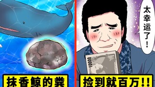 抹香鲸的粪便猎人…在海边找到的话就能身价百万！