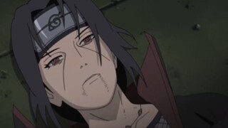 AMV Persistence