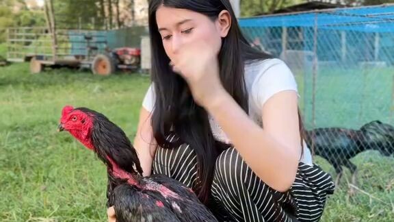 คนสวยไก่ชน