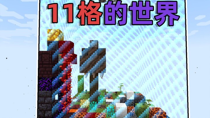 Can the Whole World Fit Into Just an 11-Block-Sized Chunk? Is Survival Even Possible in Such a Tiny 