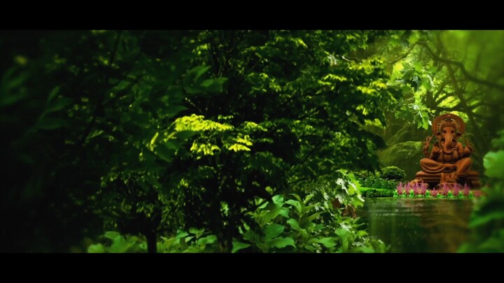 start with cinematography of my wedding family introduce