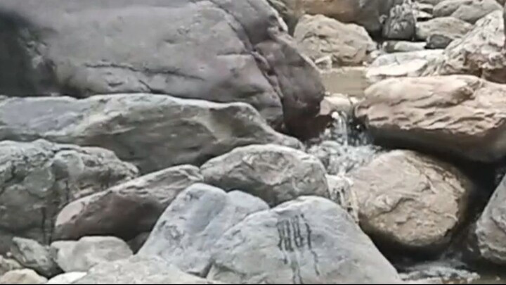 cast net fishing in Nepal | himalayan trout fishing |