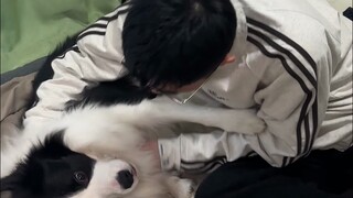 养狗人突如其来的狗瘾