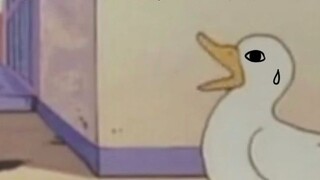 Bos ada di sini untuk menggantikan kelas.