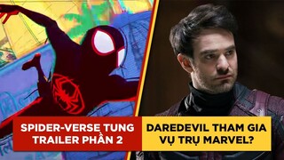 Phê Phim News: ACROSS THE SPIDER-VERSE tung TRAILER ĐẦU TIÊN | CHARLIE COX sẽ trở lại với DAREDEVIL