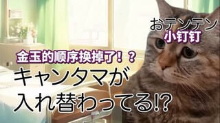 【熟肉】人生第一次蛋蛋调换位置的小故事 | 猫meme