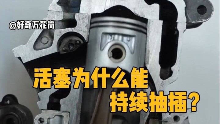 لماذا يمكن للمكبس الاستمرار في الحركة الترددية؟ #علم_العلوم #حركة_المكبس