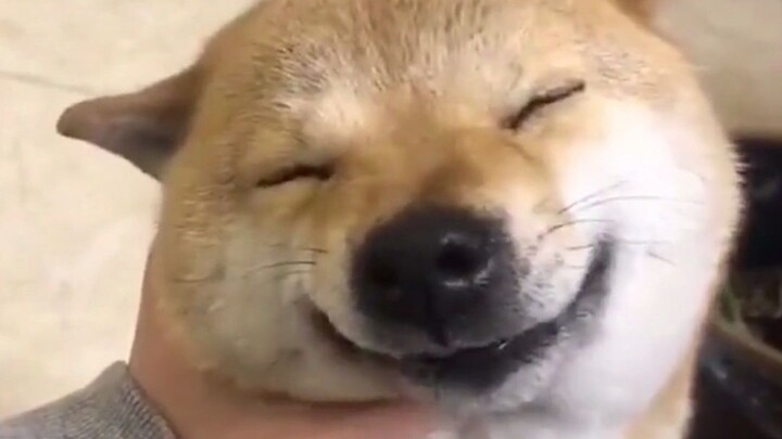 Nhìn cái dáng cậu cười tủm tỉm là biết sướng rồi!