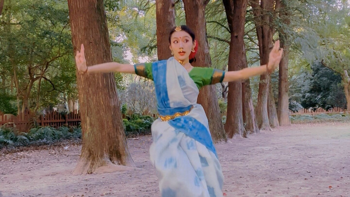 【Kuchipudi】Chú công nhỏ với bộ lông xanh-lam xen lẫn xanh-lục đang tắm mình trong ánh hoàng hôn rừng