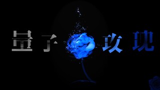 【量子玫瑰】球状闪电同人作品