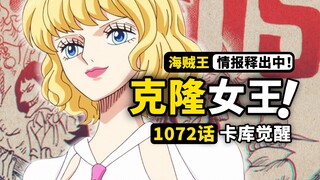 海贼王1072话第1波情报来了！斯图西真实身份曝光！贝加庞克透露大熊秘密！卡库觉醒型态再战索隆
