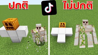 มายคราฟ TikTok สิ่งเจ๋งๆจากคลิปดังเราสามารถทำตามได้จริง หรือ เขาหลอก!!  (Minecraft ทดลอง)