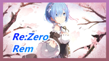 [Re:Zero] Who is Rem?