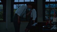 都进来谈恋爱!青春之旅【超甜吻戏】剪辑 苏吻轻欲吻 女主双感情线 千叶小天使和狼狗男主 看不够呜呜呜