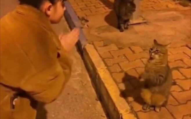 Si kucing kecil dulu memilih satu tips praktis seputar teknologi, biar lebih percaya diri saat jadi 