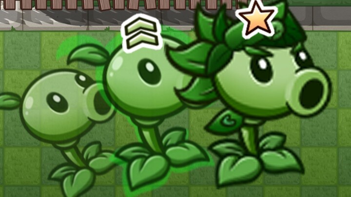 The Pea Soldier's Path to Advancement
