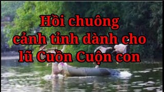 Hồi chuông cảnh tỉnh cho lũ cuồn cuộn con