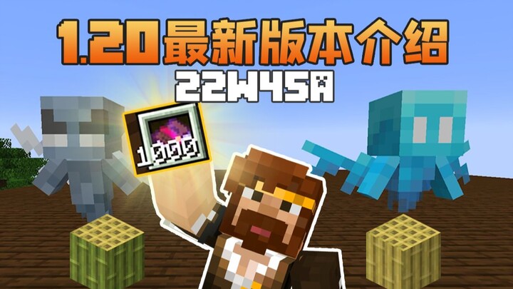 ★ Minecraft ★ Giới thiệu phiên bản mới nhất 1.20 22w45a của Tử Mân