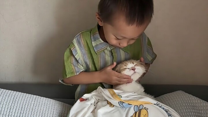 Such a cute kitten, such a well-behaved child.