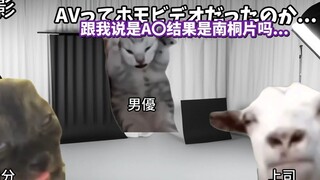 【熟肉】在南桐片制作公司打工的异性恋者的故事（初次上班篇） | 猫meme