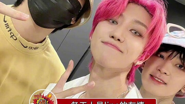 Semua orang Tiongkok yang tinggal di Korea datang ke konser Seventeen. Persahabatan mereka benar-ben