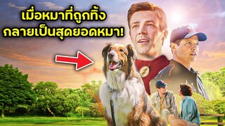 เมื่อหมาถูกทิ้ง กลายเป็นสุดยอดหมา | สปอยหนัง | BG MOVIE