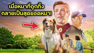 เมื่อหมาถูกทิ้ง กลายเป็นสุดยอดหมา | สปอยหนัง | BG MOVIE