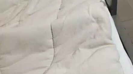 Bạn cùng phòng của tôi