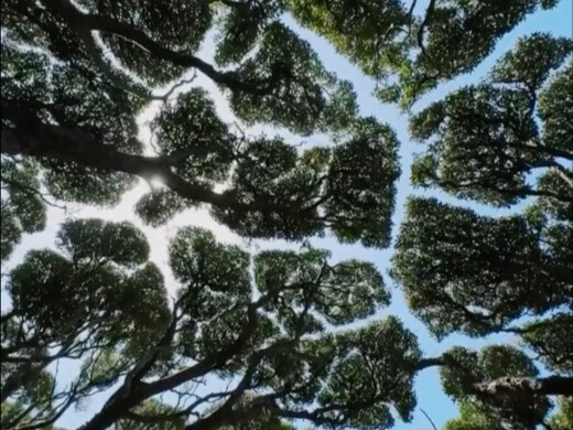 Gambarkan momen dan pemandangan ini dalam satu kalimat.