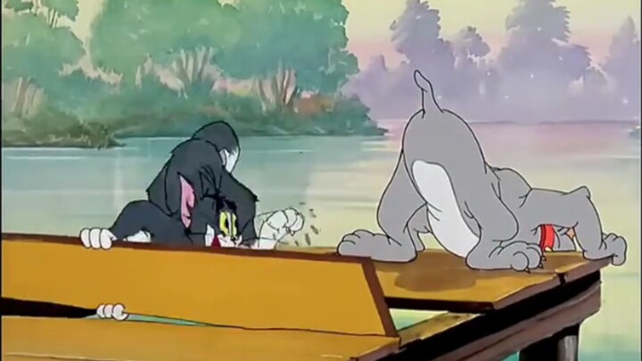cartoon tom and Jerry funny vedio