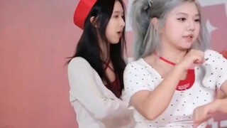 ไอดอลของใครหนีไปแล้ว! 【rolypoly】ยิงตรง