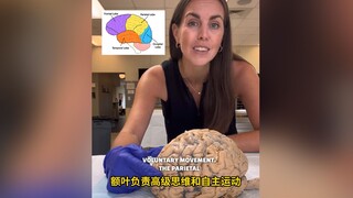 原来真实的人脑长这样，跟着美女老师一起初步了解“脑子”的秘密...最后还要感谢所有大体老师！