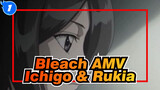 [Bleach AMV] Love Between Ichigo & Rukia_1