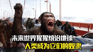 โลกอนาคต ลิงกอริลลาปกครองโลก มนุษย์กลายเป็นทาสของพวกมัน ภาพยนตร์ไซไฟ