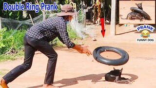 Wow !! New Prank Double Ring Prank on Dog so funny reaction dog with scaring crowing