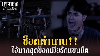 พี่มากสุดช็อก เมียรักเก็บมะนาว...แขนยืดยาวถึงพื้น!! | นางนาค สะใภ้พระโขนง | EP.19 | HIGHLIGHT