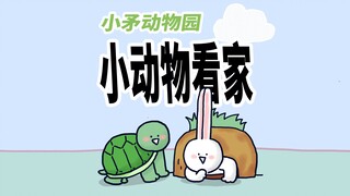 【小矛动物园】没想到小乌龟还留着一手。