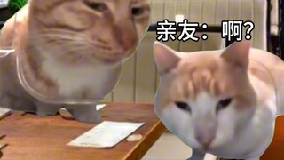 【猫meme】努努妈的日常2→各种场合
