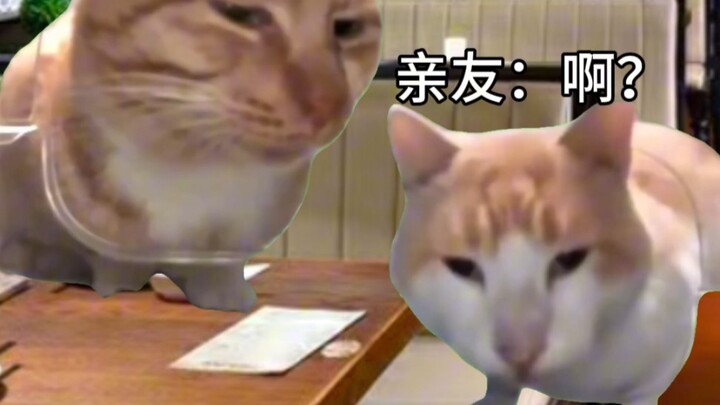 【猫meme】努努妈的日常2→各种场合