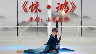 Bất ngờ: Ngỗng hoang