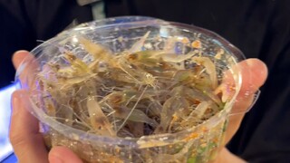 80 yuan for jumping shrimp, 28 yuan left after jumping