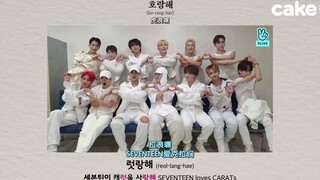 【SVT_ZER·0】SEVENTEEN sẽ nói gì khi nhìn thấy điều kỳ diệu? | Từ điển SEVENTEEN Zero Station phụ đề t