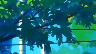 Gu của bạn là người thế nào