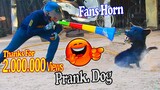 Must Watch Funny Video - Fans Horn Prank Dogs and Fake Tiger Prank Dogs - Try Not To Laugh