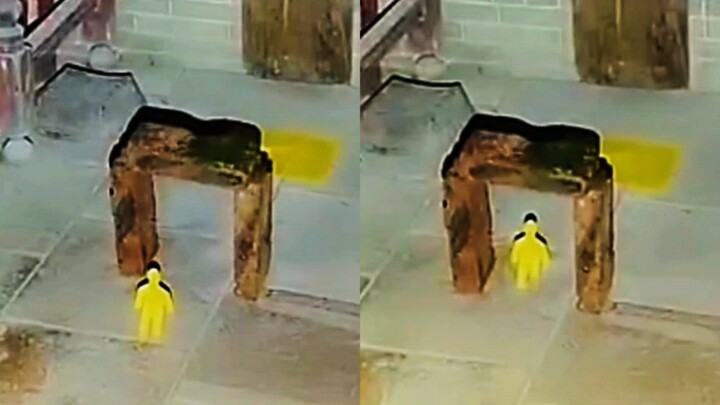 ผจญภัยกลางแจ้ง: ตำนานบ้านเก่าของเสี่ยวหลง – ลูกกตัญญูผู้ยึดติดหนัก ตุ๊กตากระดาษช่วยปลดเปลื้องความอาล