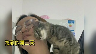 Stray animals meet a kind-hearted human