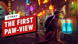 Stray Teases Clever Cat Gameplay in a Beautiful World