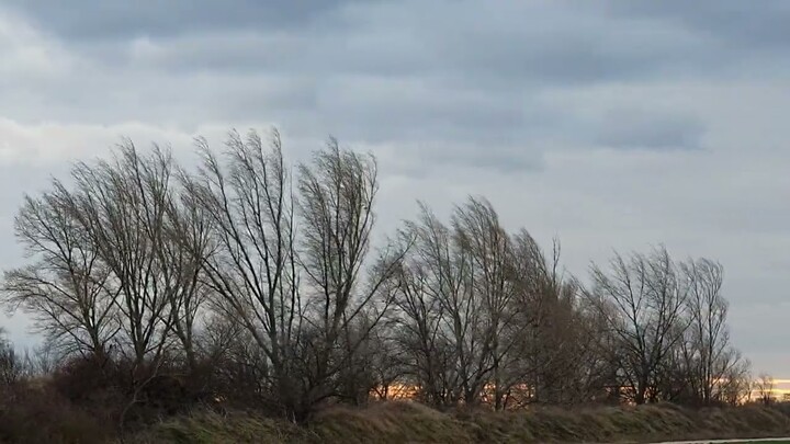 Windstorm/4